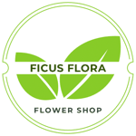 Ficus Flora Flower shop, Toronto, North York